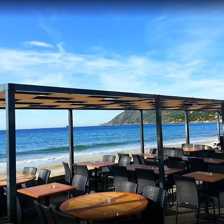 Bas De Villa Jardin Plein Sud Proche Mer Clim-Wifi Saint-Mandrier-sur-Mer Kültér fotó