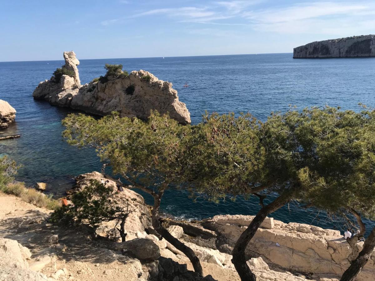 Bas De Villa Jardin Plein Sud Proche Mer Clim-Wifi Saint-Mandrier-sur-Mer Kültér fotó
