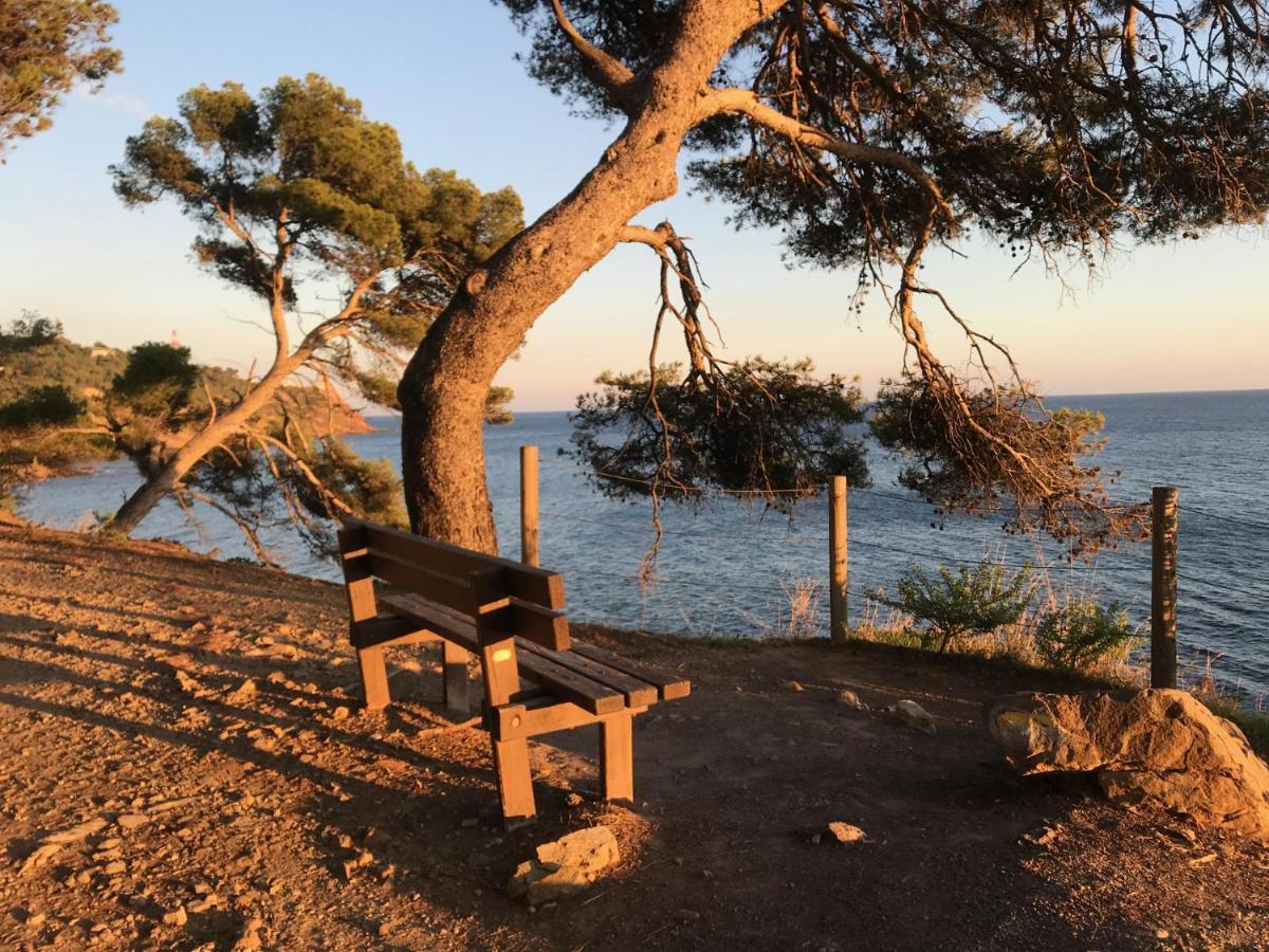 Bas De Villa Jardin Plein Sud Proche Mer Clim-Wifi Saint-Mandrier-sur-Mer Kültér fotó