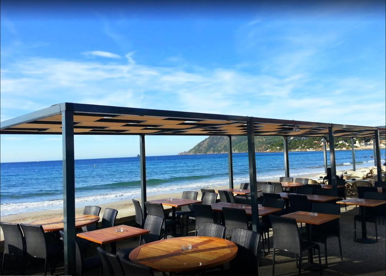 Bas De Villa Jardin Plein Sud Proche Mer Clim-Wifi Saint-Mandrier-sur-Mer Kültér fotó