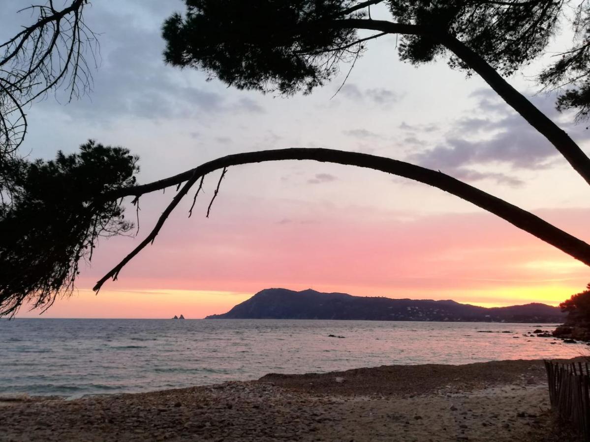 Bas De Villa Jardin Plein Sud Proche Mer Clim-Wifi Saint-Mandrier-sur-Mer Kültér fotó